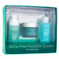 h2o plus face oasis sea clear, fathers day gift guide 2011